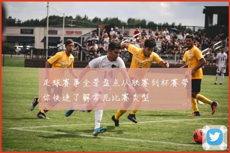 足球赛事全景盘点从联赛到杯赛带你快速了解常见比赛类型