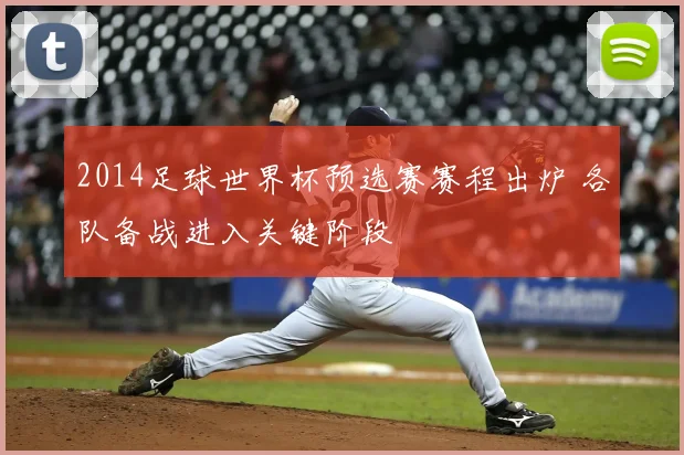 2014足球世界杯预选赛赛程出炉 各队备战进入关键阶段