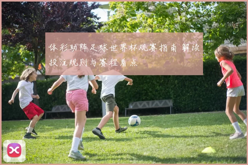 体彩助阵足球世界杯观赛指南 解读投注规则与赛程看点