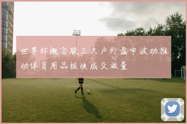 世界杯概念股三夫户外盘中波动推动体育用品板块成交放量