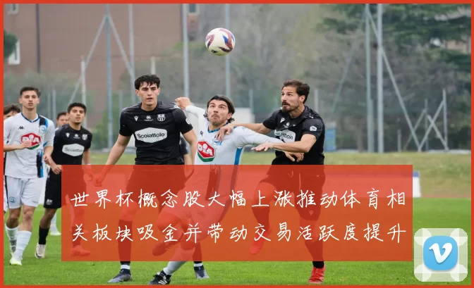 世界杯概念股大幅上涨推动体育相关板块吸金并带动交易活跃度提升