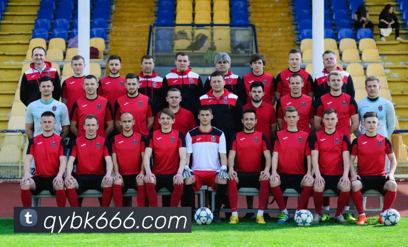 乐投官方网页版 - 乐投LETOU(中国)APP 封面图